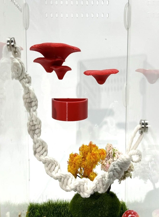 Julang Jumping Spider Enclosure Accessories, 3 Pack Mushroom Shelf & Water Bowl with Magnets, Jumping Spider Climbing Platforms Habitat Decorate Accessories (Red) - Image 3